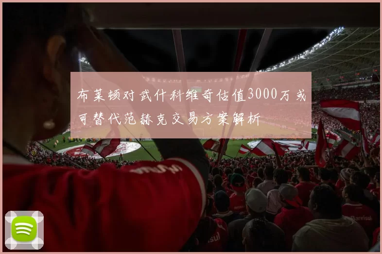 布莱顿对武什科维奇估值3000万或可替代范赫克交易方案解析